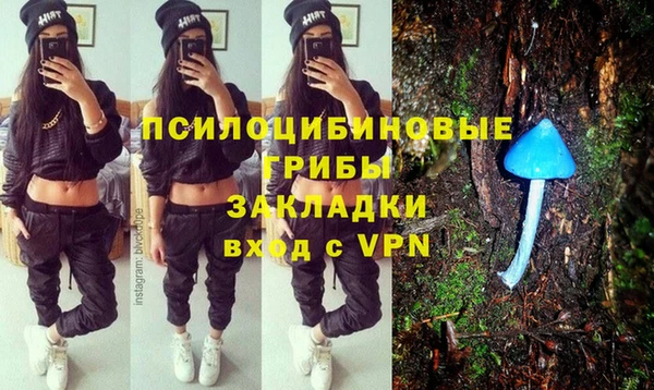 прущий лед Абаза