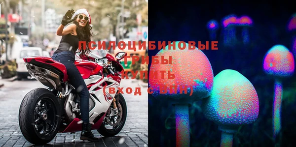 а пвп мука Алзамай
