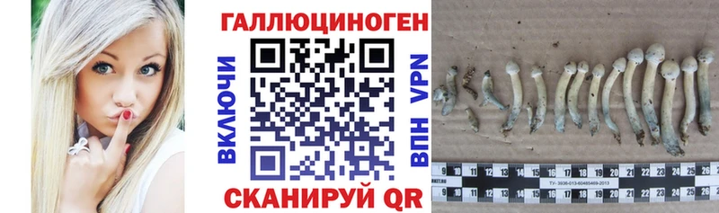 Псилоцибиновые грибы ЛСД  KRAKEN ONION  Ахтырский 